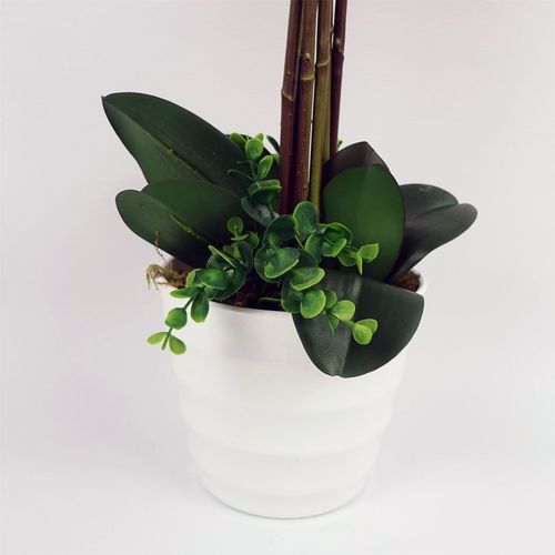 Stunning 85cm Deluxe Dark Pink Artificial Bush Orchid - Perfect Centerpiece! - plants - express.com