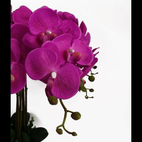 Stunning 85cm Deluxe Dark Pink Artificial Bush Orchid - Perfect Centerpiece! - plants - express.com