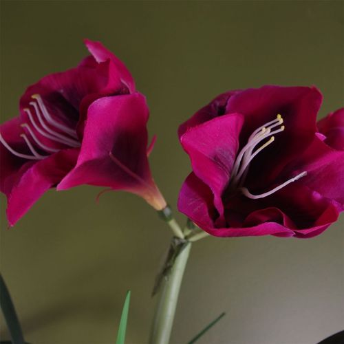 Stunning Pink Artificial Amaryllis Plant - Lifelike Home Décor Masterpiece! - plants - express.com