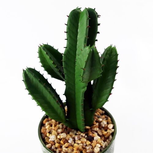 Stylish 23cm Artificial Cactus in Chic Green Ceramic Planter – No Mess, Just Style! - plants - express.com