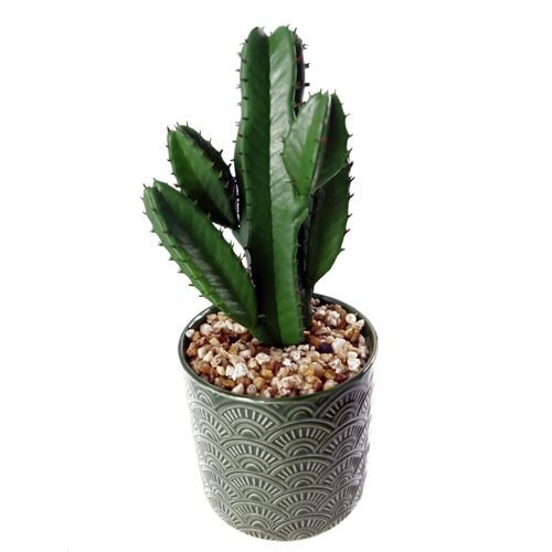 Stylish 23cm Artificial Cactus in Chic Green Ceramic Planter – No Mess, Just Style! - plants - express.com