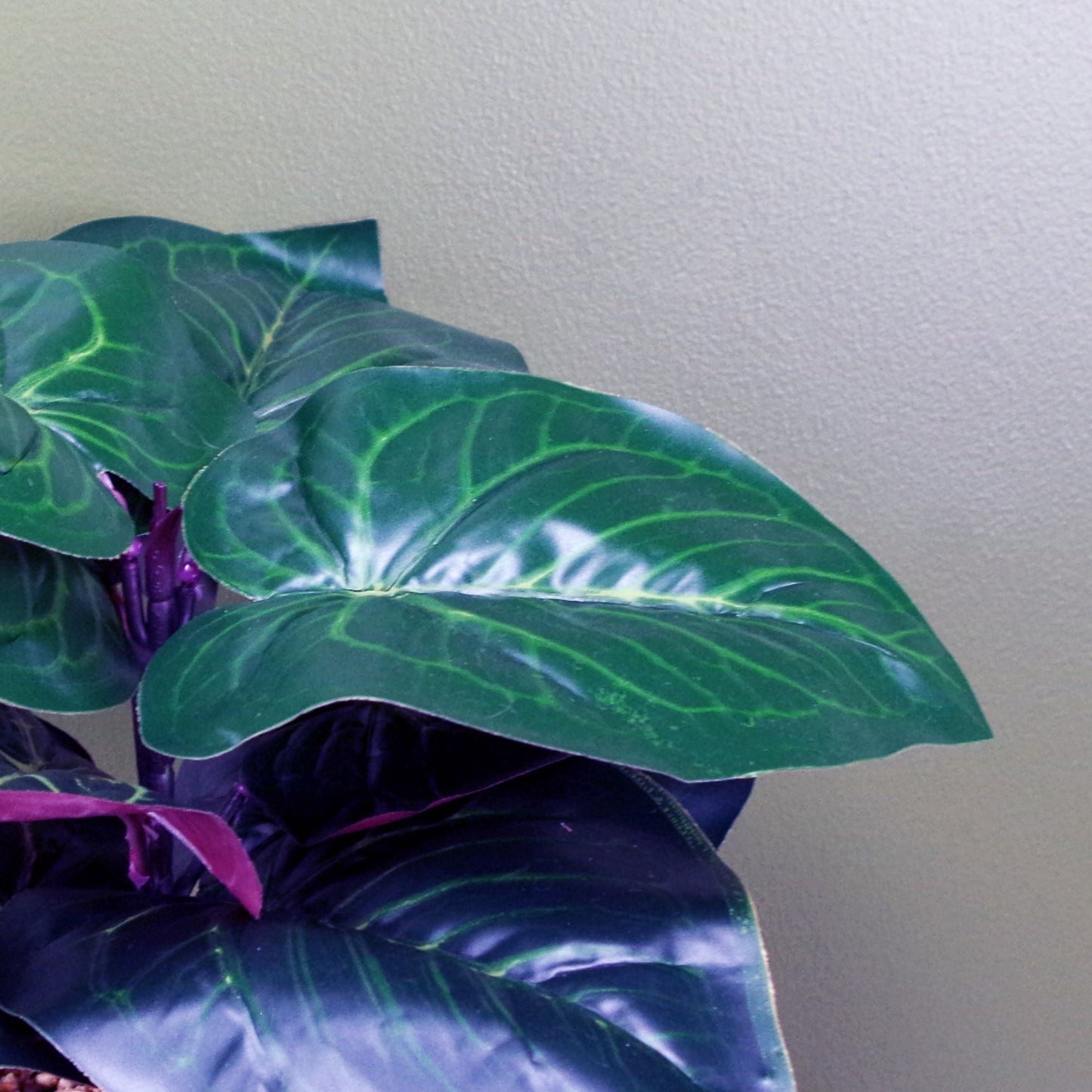 Stylish 35cm Artificial Ficus in Chic Teal Ceramic Planter - Low Maintenance Decor - plants - express.com