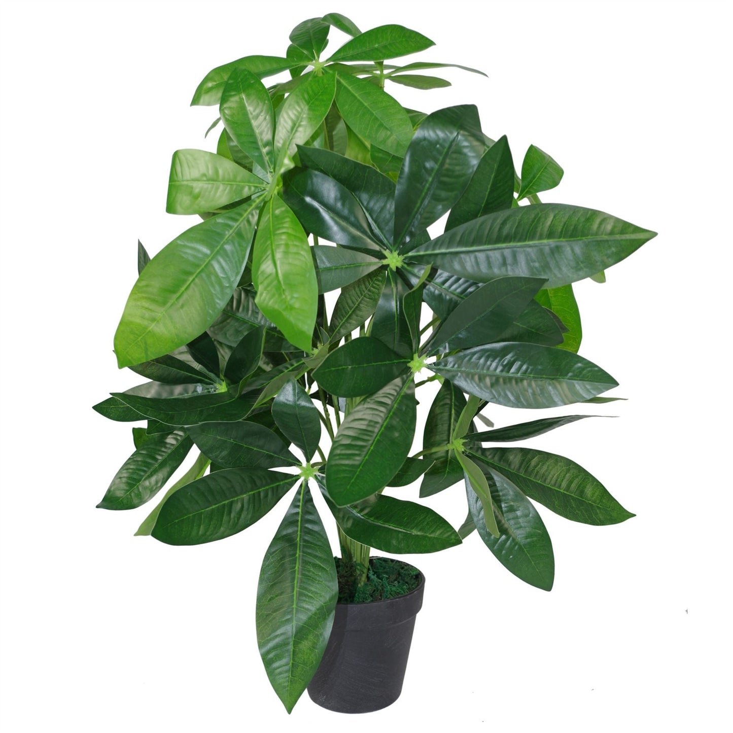 Stylish 50cm Artificial Money Tree - Lush Jade Plant for Effortless Decor - plants - express.com