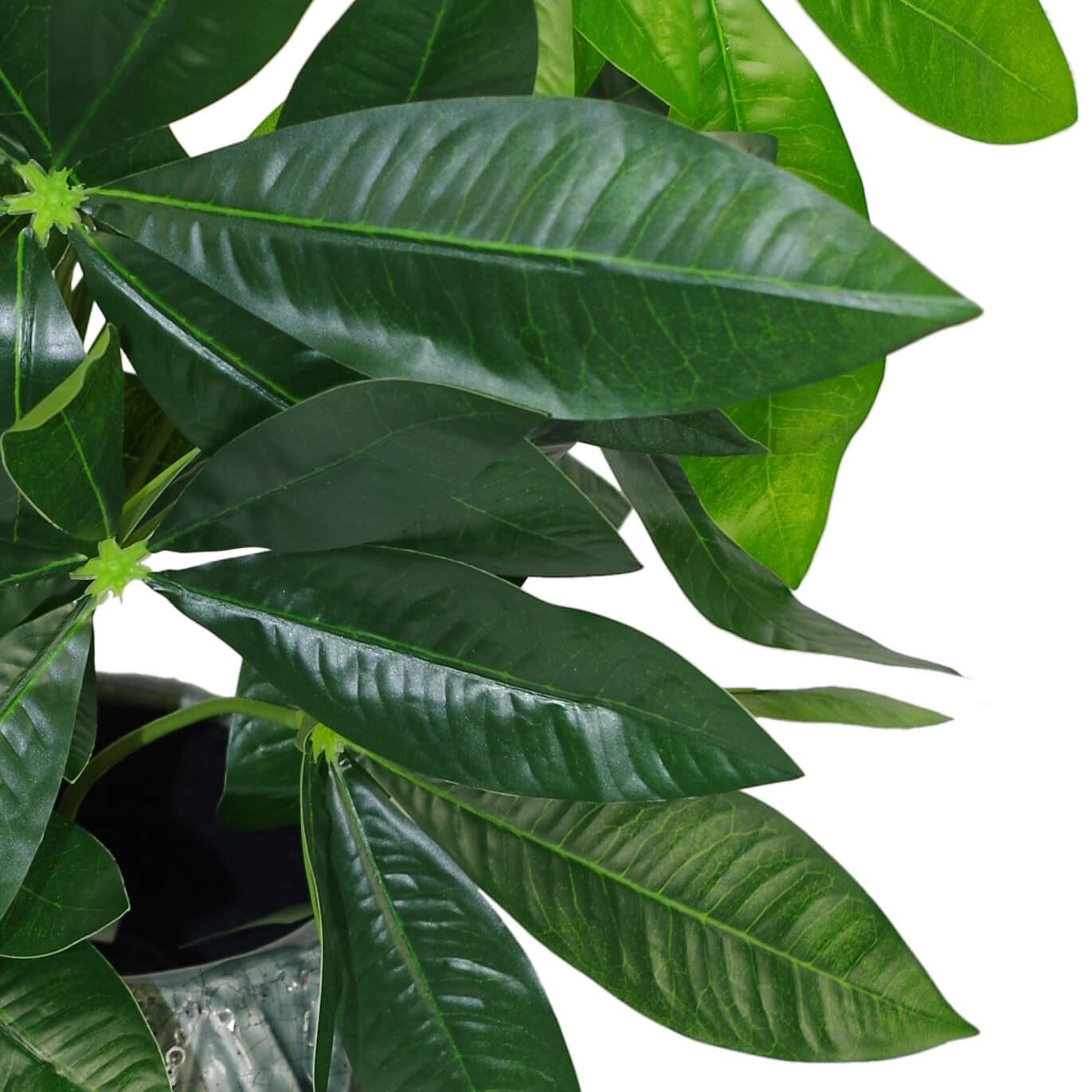 Stylish 50cm Artificial Money Tree - Lush Jade Plant for Effortless Decor - plants - express.com