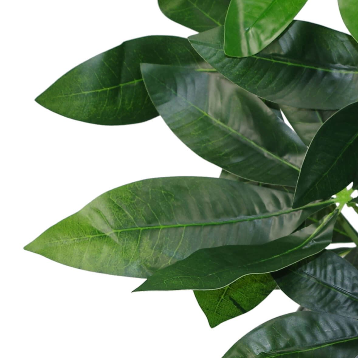 Stylish 50cm Artificial Money Tree - Lush Jade Plant for Effortless Decor - plants - express.com