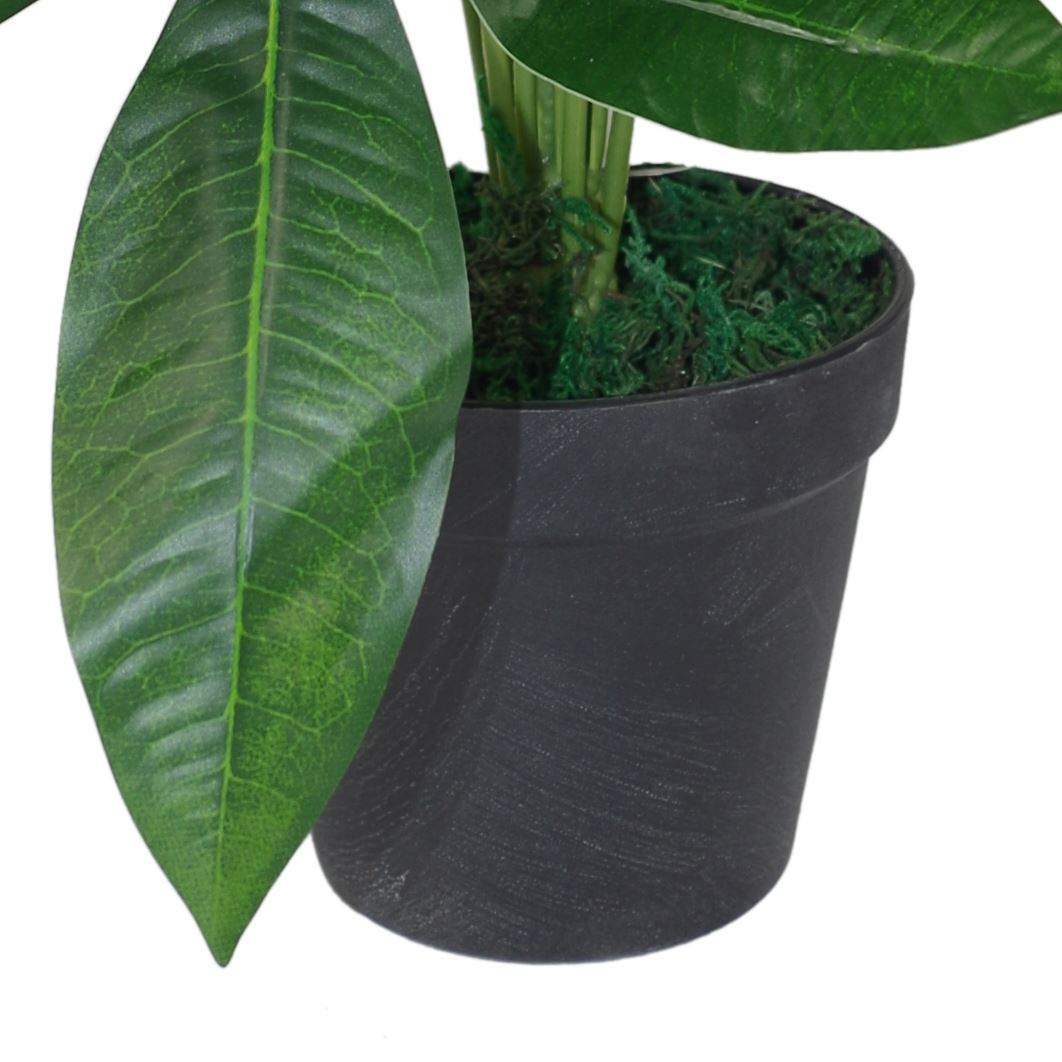 Stylish 50cm Artificial Money Tree - Lush Jade Plant for Effortless Decor - plants - express.com