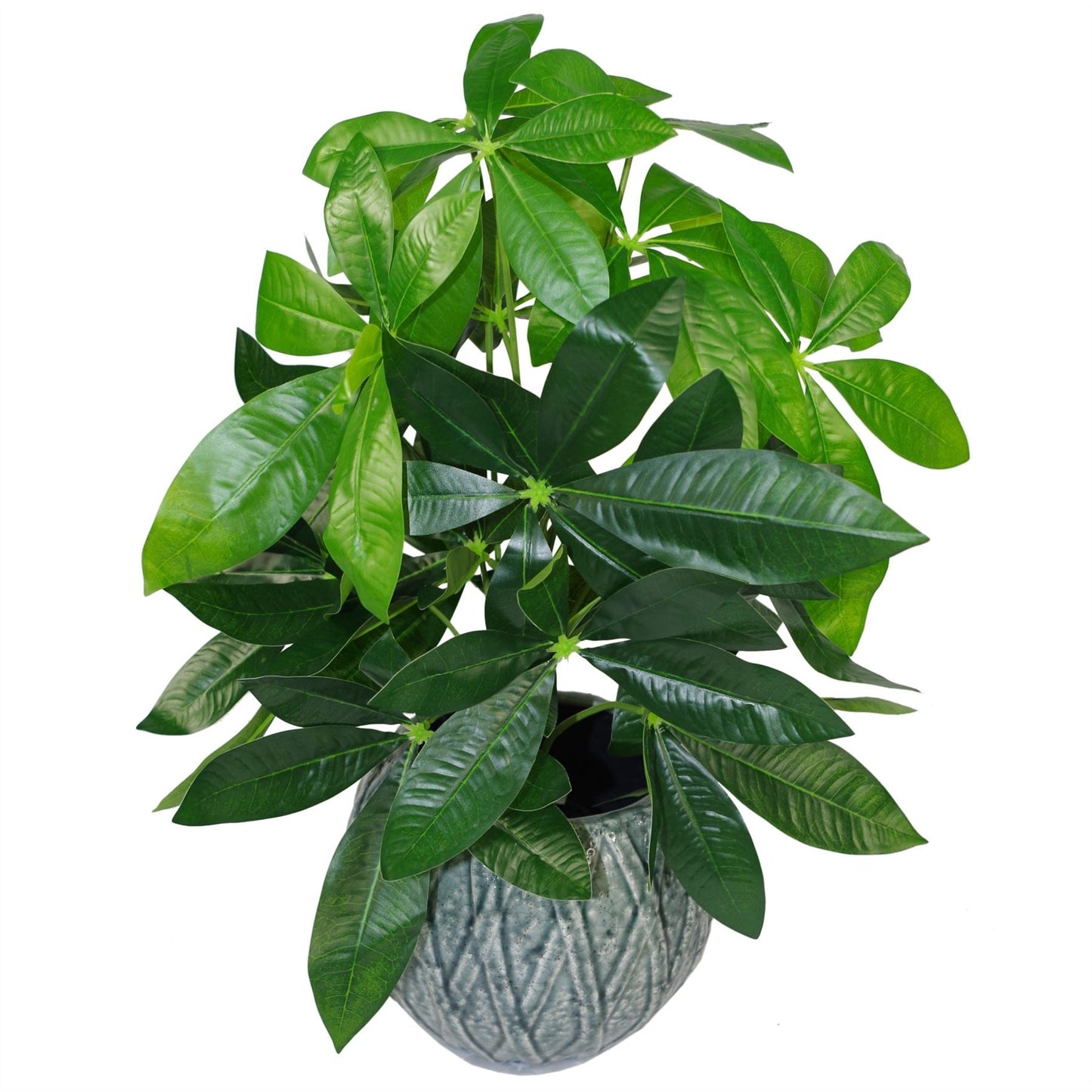 Stylish 50cm Artificial Money Tree - Lush Jade Plant for Effortless Decor - plants - express.com