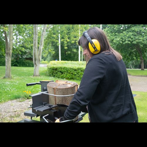 The Handy 7 Ton Vertical Electric Log Splitter - plants - express.com