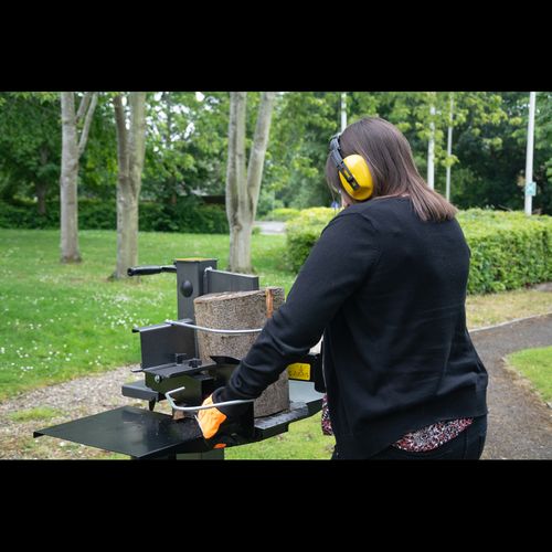 The Handy 7 Ton Vertical Electric Log Splitter - plants - express.com