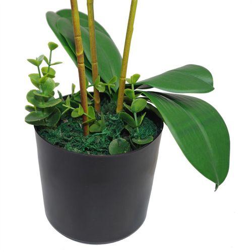 Large Artificial Orchids Display with XL Metal Bowl Planter 70x70cm