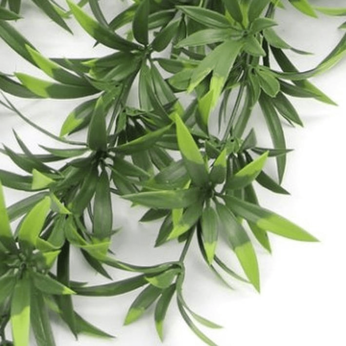 UV & Fire Resistant 70cm Hanging Artificial Thyme Plant - Lush & Elegant Decor - plants - express.com