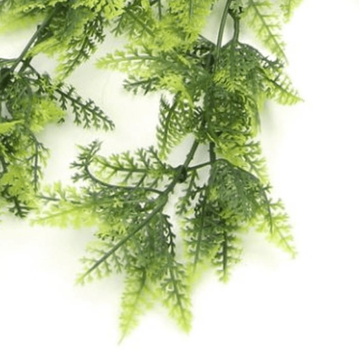 UV & Fire Resistant 75cm Hanging Artificial Boston Fern - Lush Greenery for All! - plants - express.com