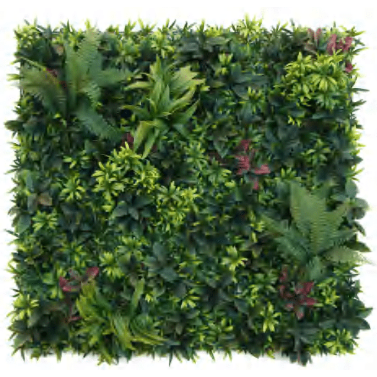 UV - Proof 100cm Woodland Fern Green Wall Panel - Lush, Low - Maintenance Décor - plants - express.com