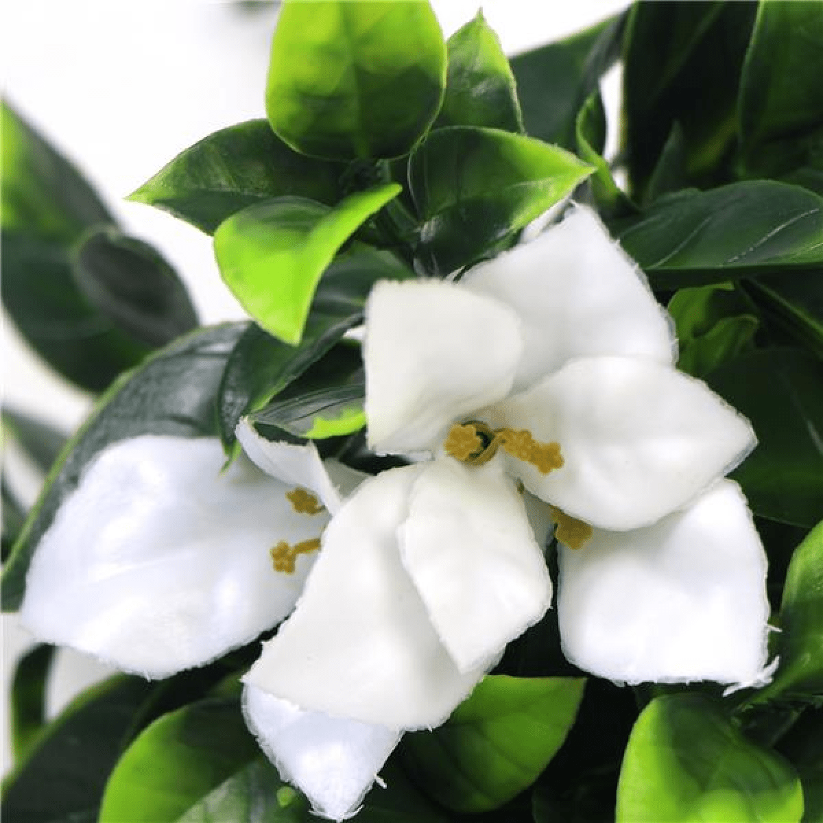UV - Resistant 30cm Realistic White Flower Bush - Perfect for Outdoor Decor! - plants - express.com