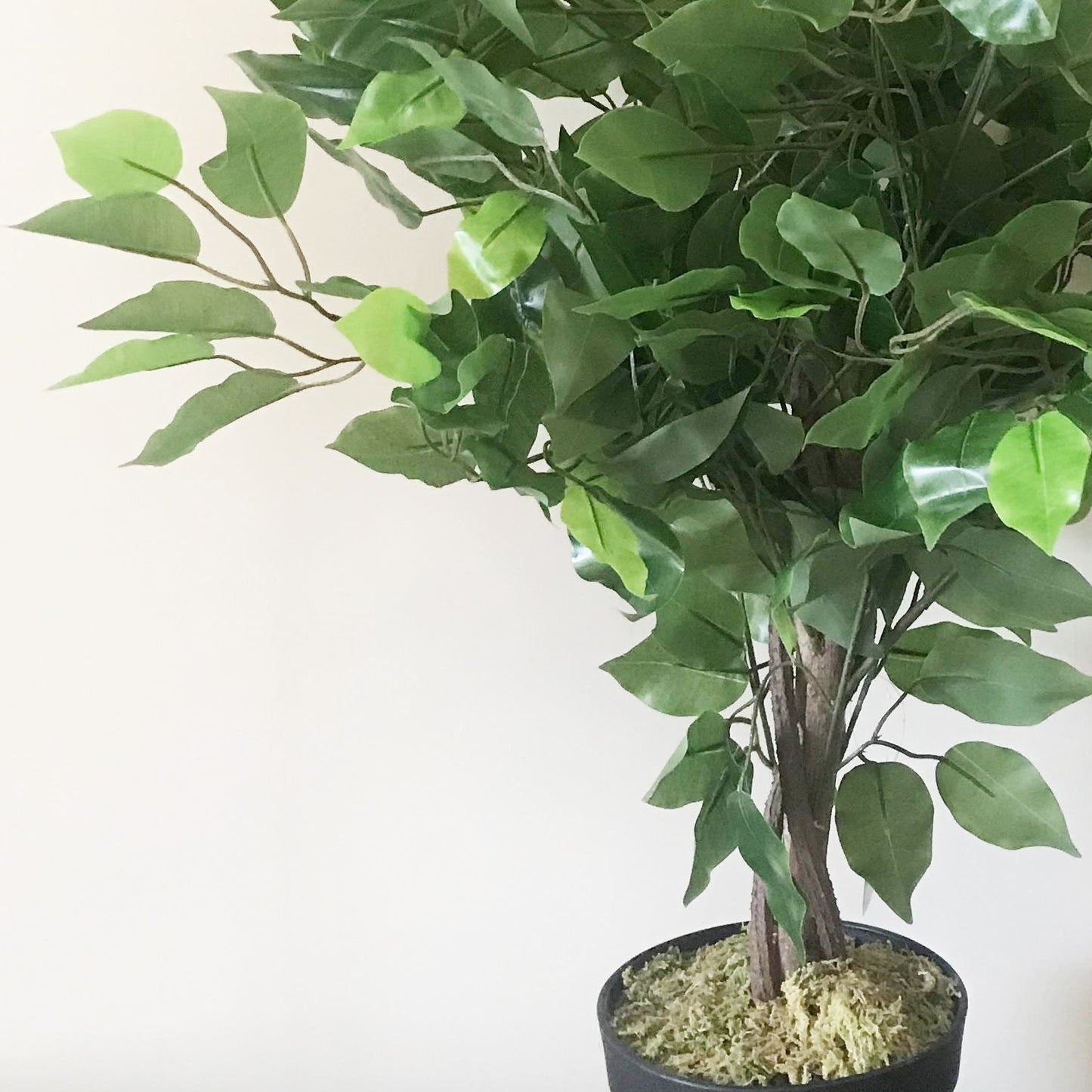 Verdant Elegance: 60cm Lush Artificial Ficus Tree - Realistic Indoor Decor - plants - express.com