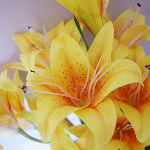 Vibrant 12 - Pack Yellow Artificial Lily Stems - 144 Realistic Flowers! - plants - express.com