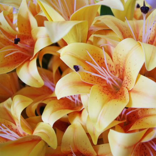 Vibrant 12 - Pack Yellow Artificial Lily Stems - 144 Realistic Flowers! - plants - express.com