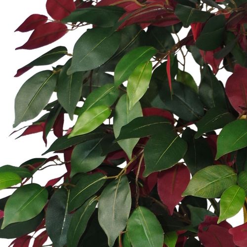 Vibrant 120cm (4ft) Artificial Capensia Tree - Realistic Green & Red Foliage - plants - express.com
