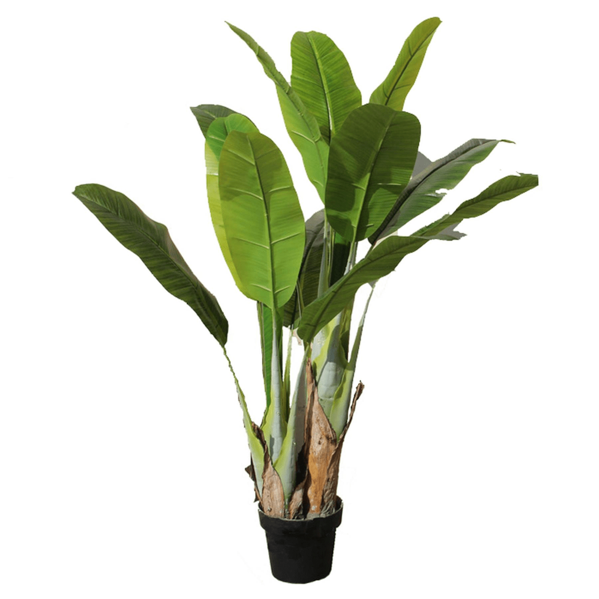 Vibrant 120cm Artificial Banana Tree - Hassle - Free Tropical Elegance! - plants - express.com