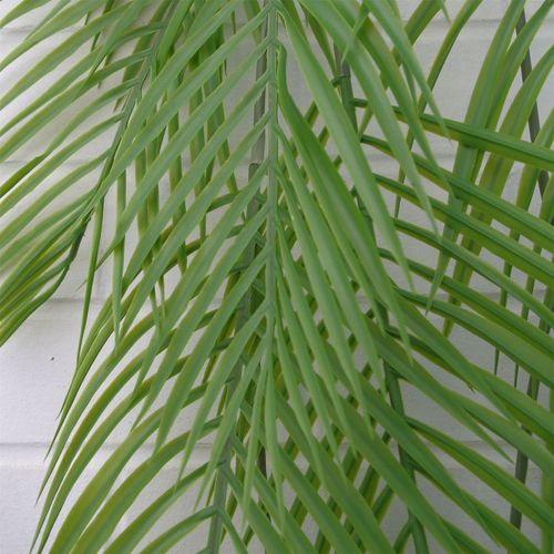 Vibrant 120cm Artificial Hanging Palm Leaf Plant - Perfect for Tropical Décor! - plants - express.com