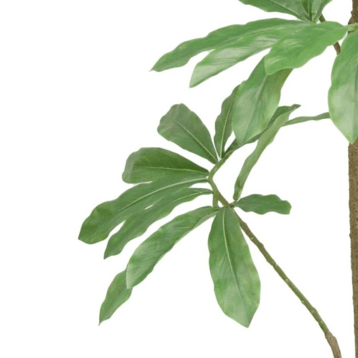 Vibrant 120cm Dwarf Umbrella Artificial Tree - Nature's Charm Indoors! - plants - express.com