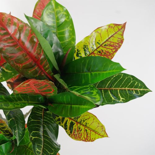 Vibrant 130cm Artificial Codiaeum: Lush, Safe & Stunning House Plant - plants - express.com