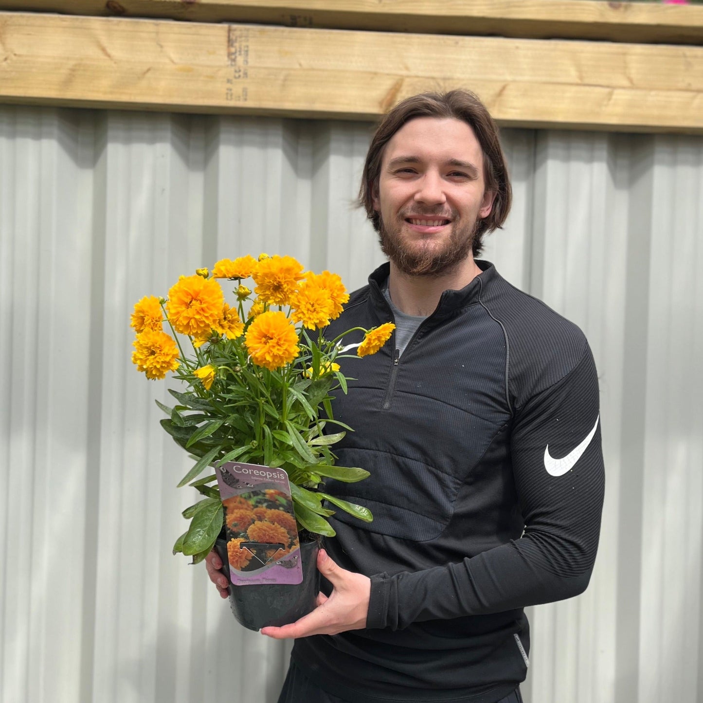 Vibrant 3 x 2L Perennial Plant Collection - Year - Round Color for £27.99! - plants - express.com