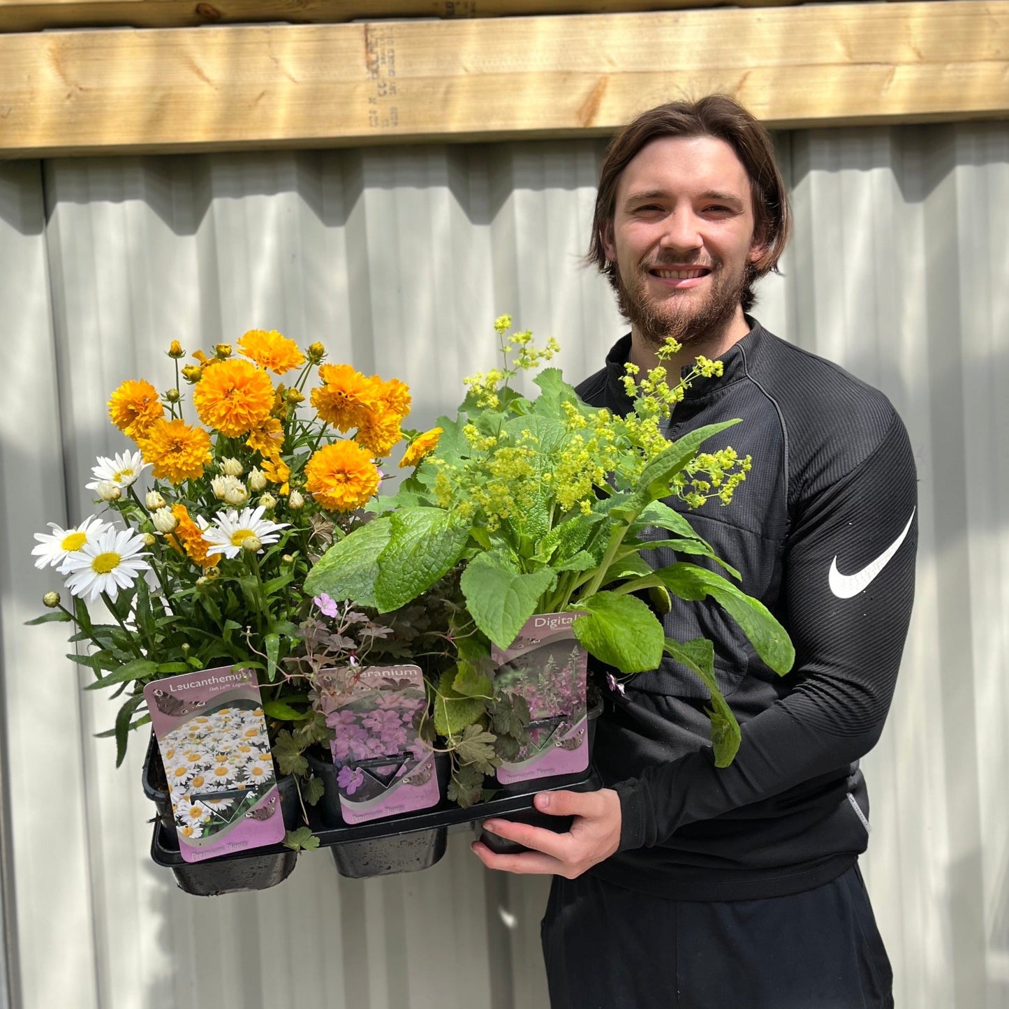 Vibrant 3 x 2L Perennial Plant Collection - Year - Round Color for £27.99! - plants - express.com