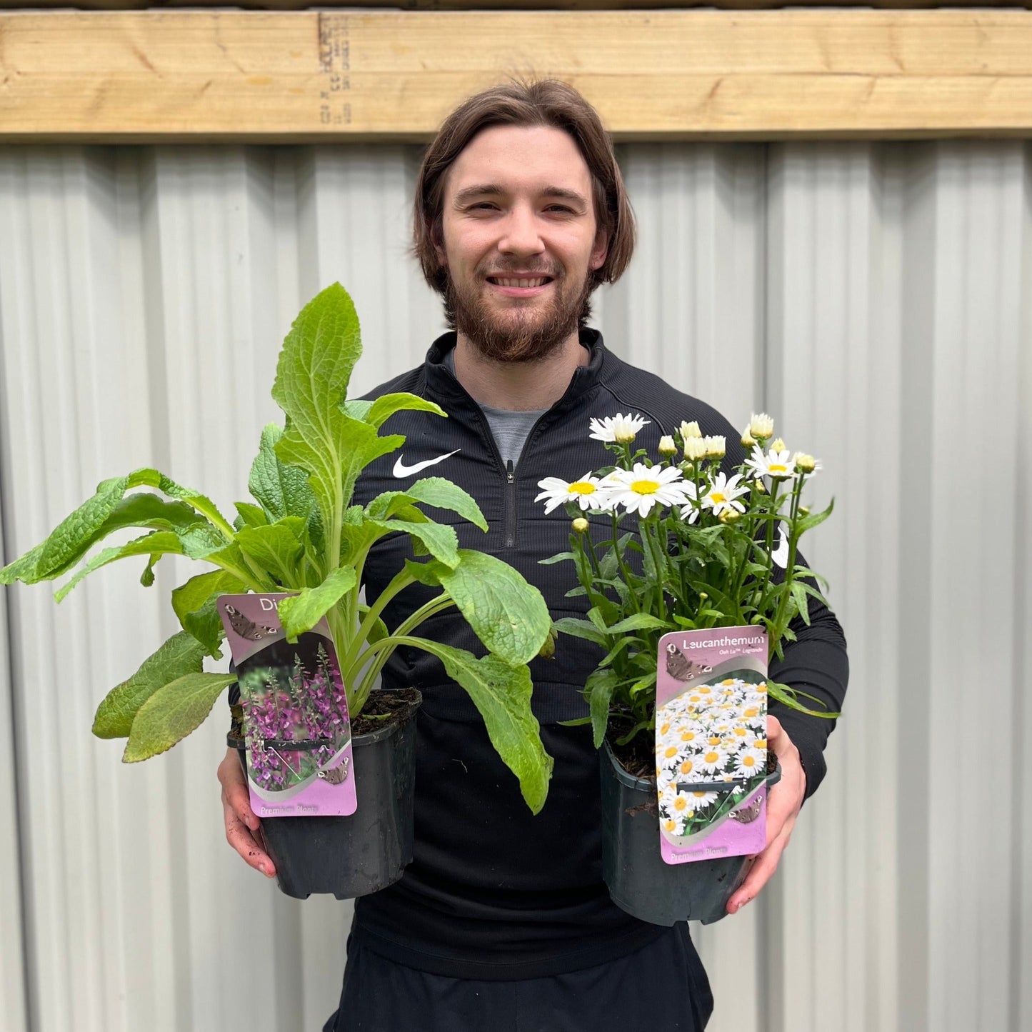Vibrant 3 x 2L Perennial Plant Collection - Year - Round Color for £27.99! - plants - express.com