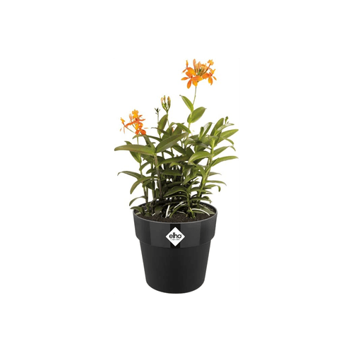 Vibrant 40cm Artificial Bamboo Palm Bush - Lush Green Home Décor - plants - express.com
