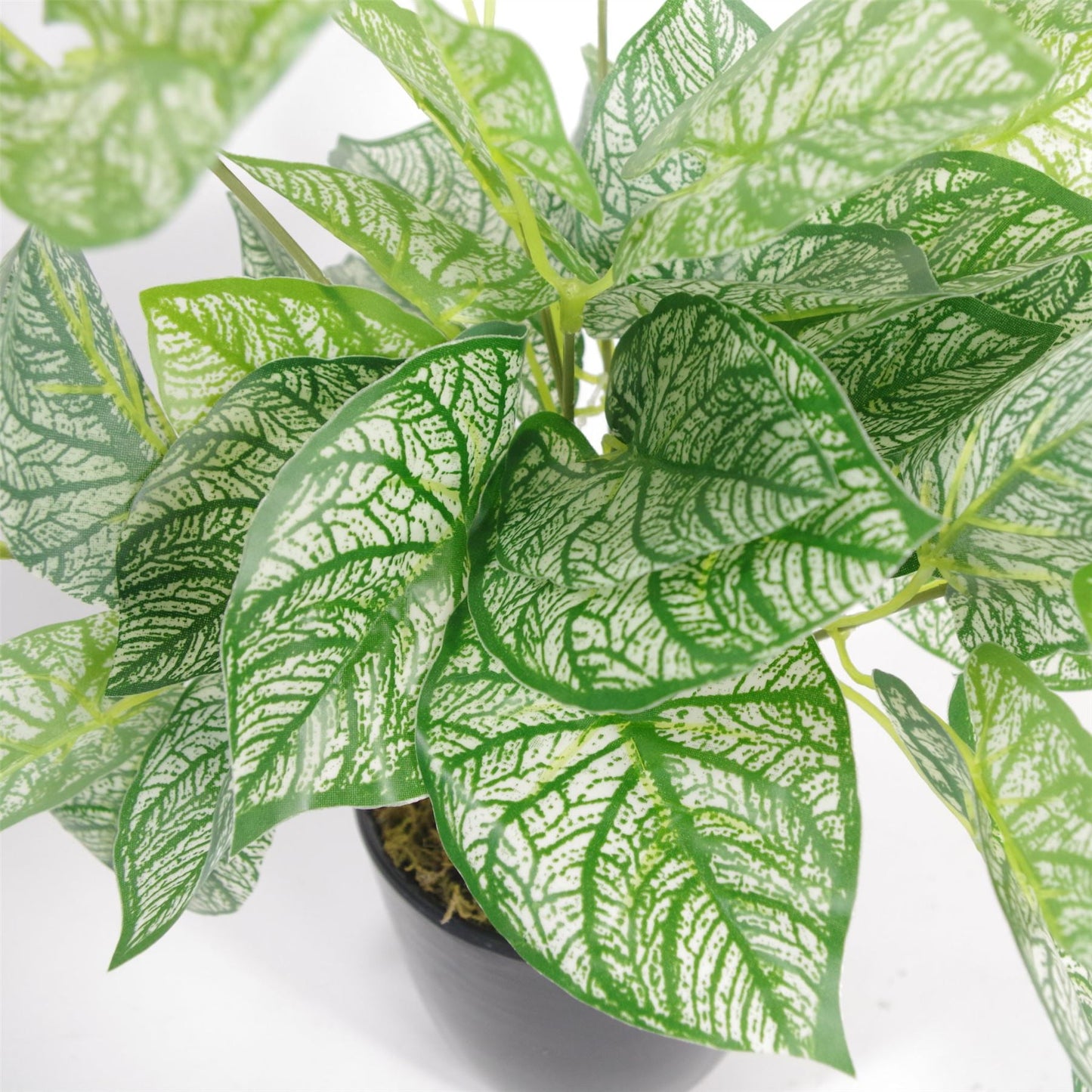 Vibrant 40cm Artificial Caladium Plant in Weighted Pot – Perfect Décor Piece! - plants - express.com