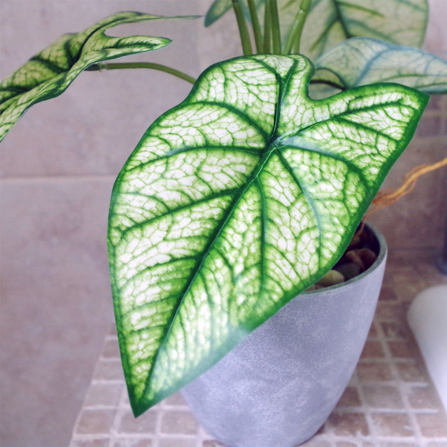Vibrant 40cm Artificial Taro Plant in Chic Decorative Planter – No Maintenance! - plants - express.com