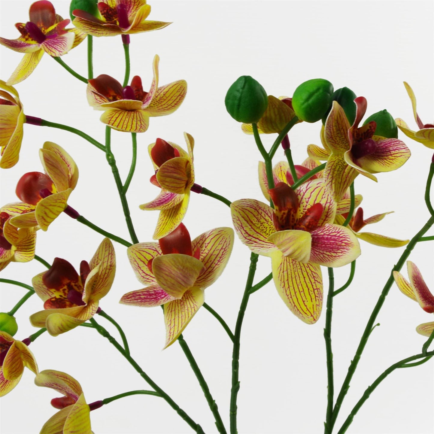 Vibrant 43cm Pink & Yellow Artificial Orchid in Elegant Ceramic Planter - plants - express.com