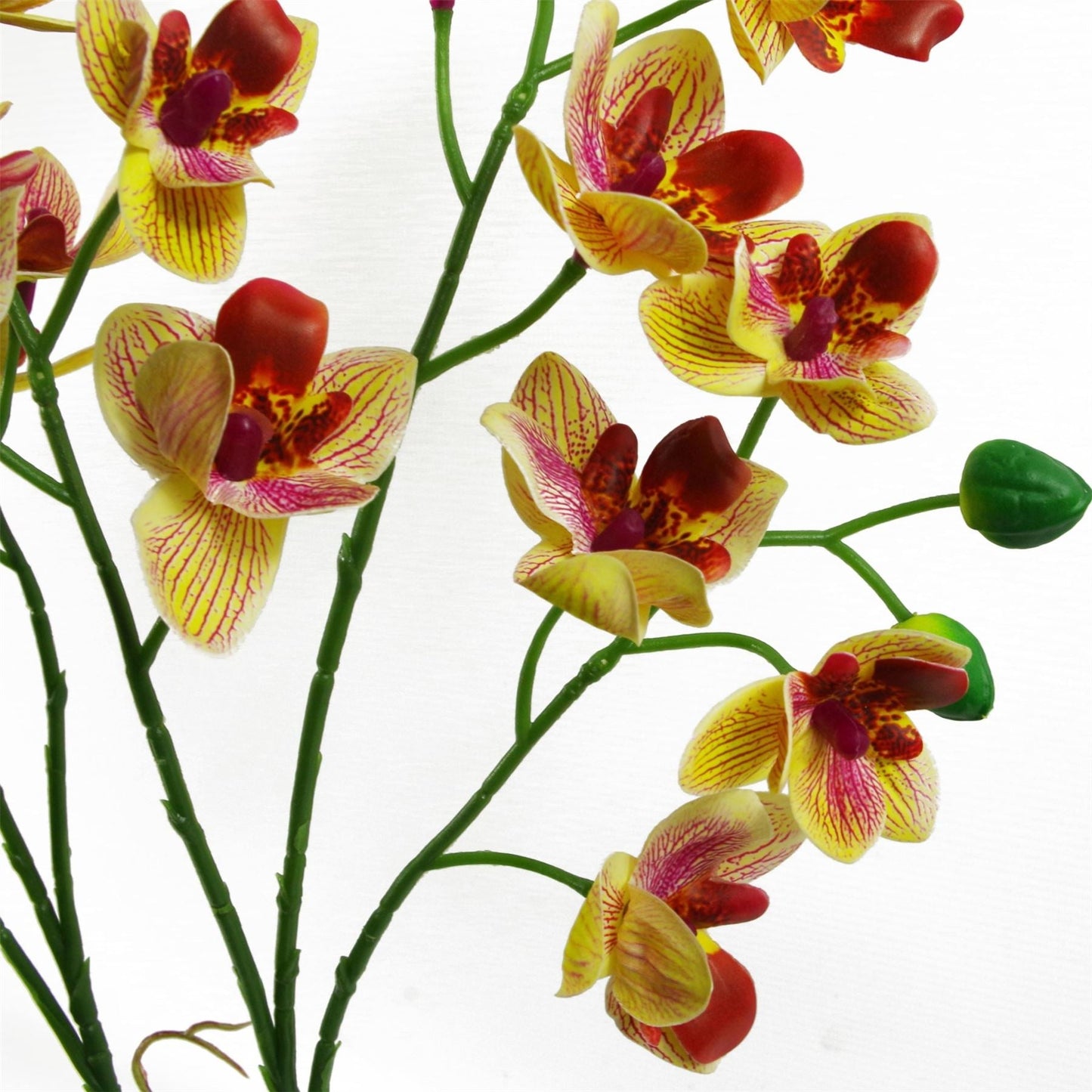 Vibrant 43cm Pink & Yellow Orchid in Stylish Ceramic Planter - Perfect Decor! - plants - express.com