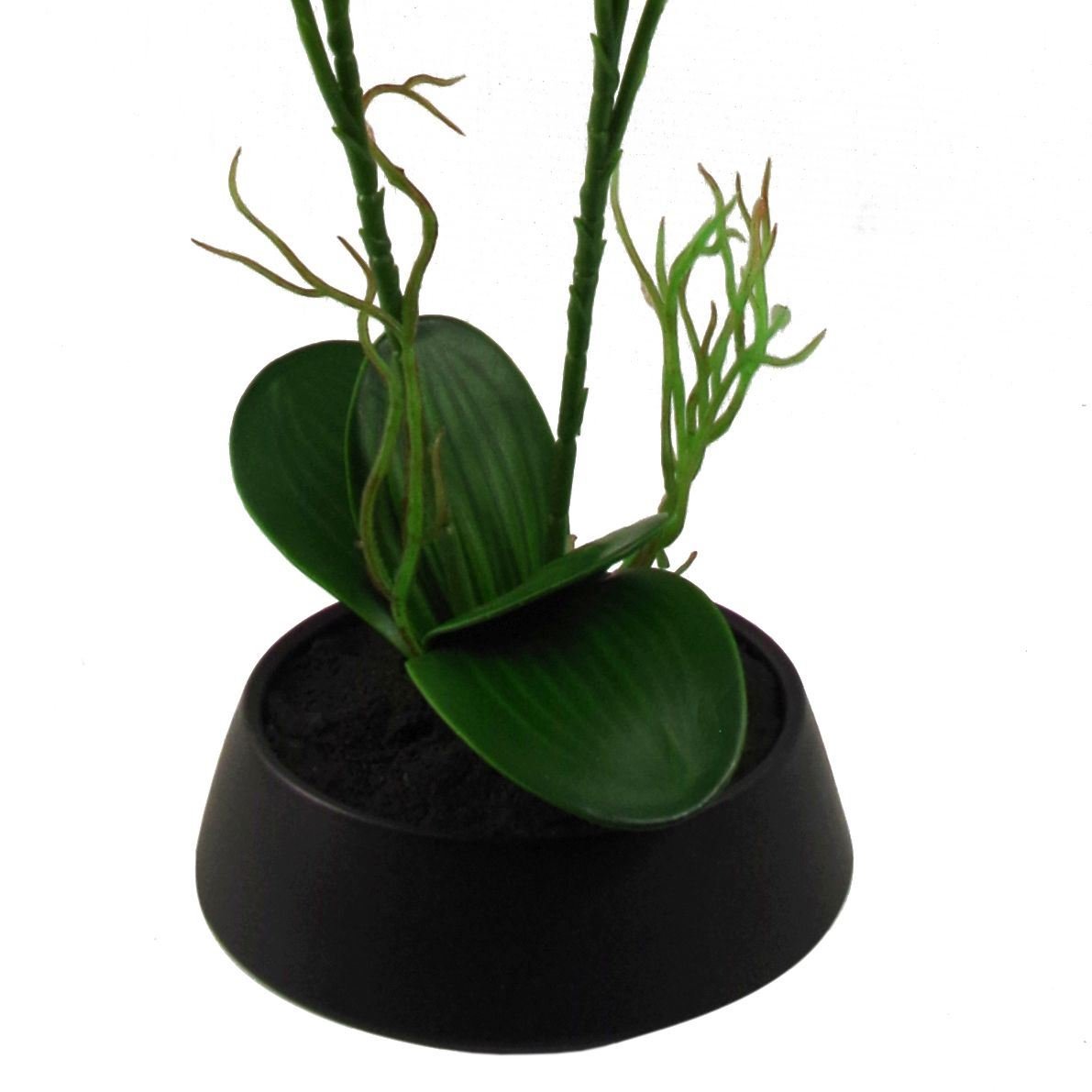 Vibrant 43cm Pink & Yellow Orchid in Stylish Ceramic Planter - Perfect Decor! - plants - express.com