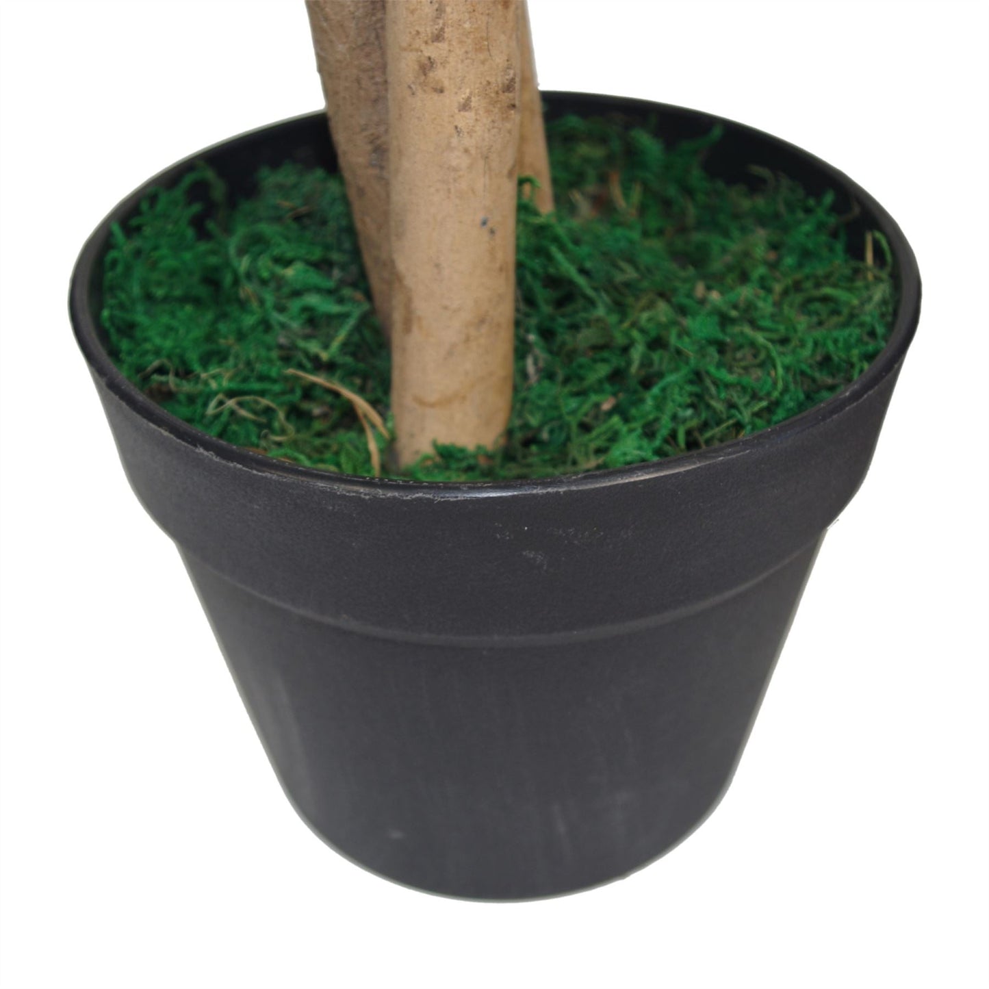 Vibrant 4ft Artificial Mango Tree - Lifelike Décor for Any Space! - plants - express.com
