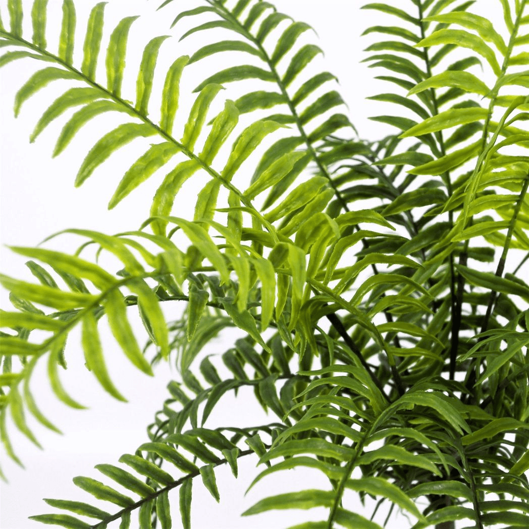 Vibrant 50cm Artificial Boston Fern - No Maintenance, Perfect for Any Space - plants - express.com