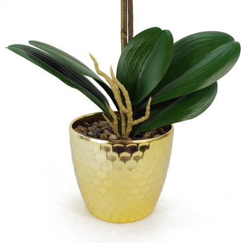 Vibrant 50cm Red Leopard Phalaenopsis Orchid in Elegant Gold Honeycomb Pot - plants - express.com