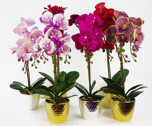 Vibrant 50cm Red Leopard Phalaenopsis Orchid in Elegant Gold Honeycomb Pot - plants - express.com