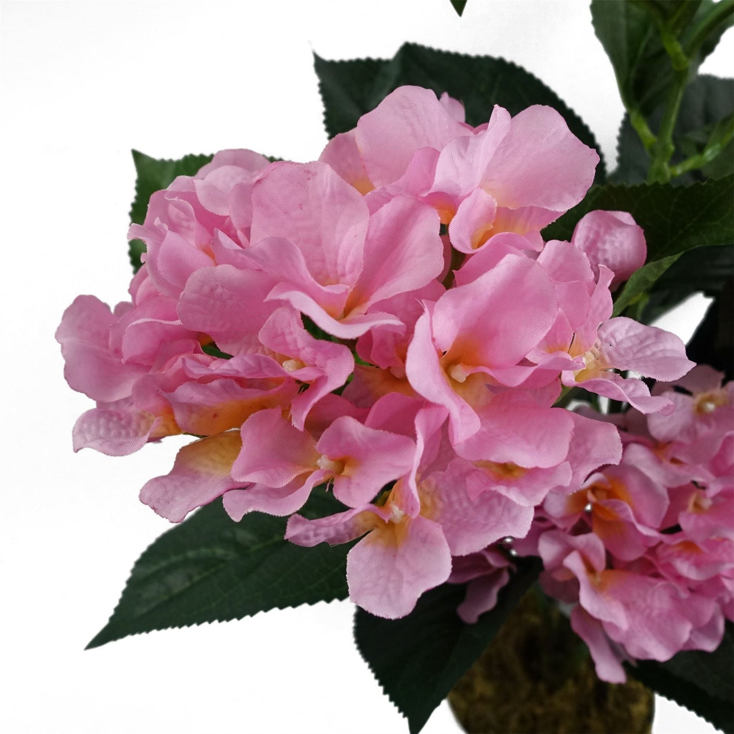 Vibrant 55cm Artificial Pink Hydrangea - No Maintenance, Ready to Display! - plants - express.com