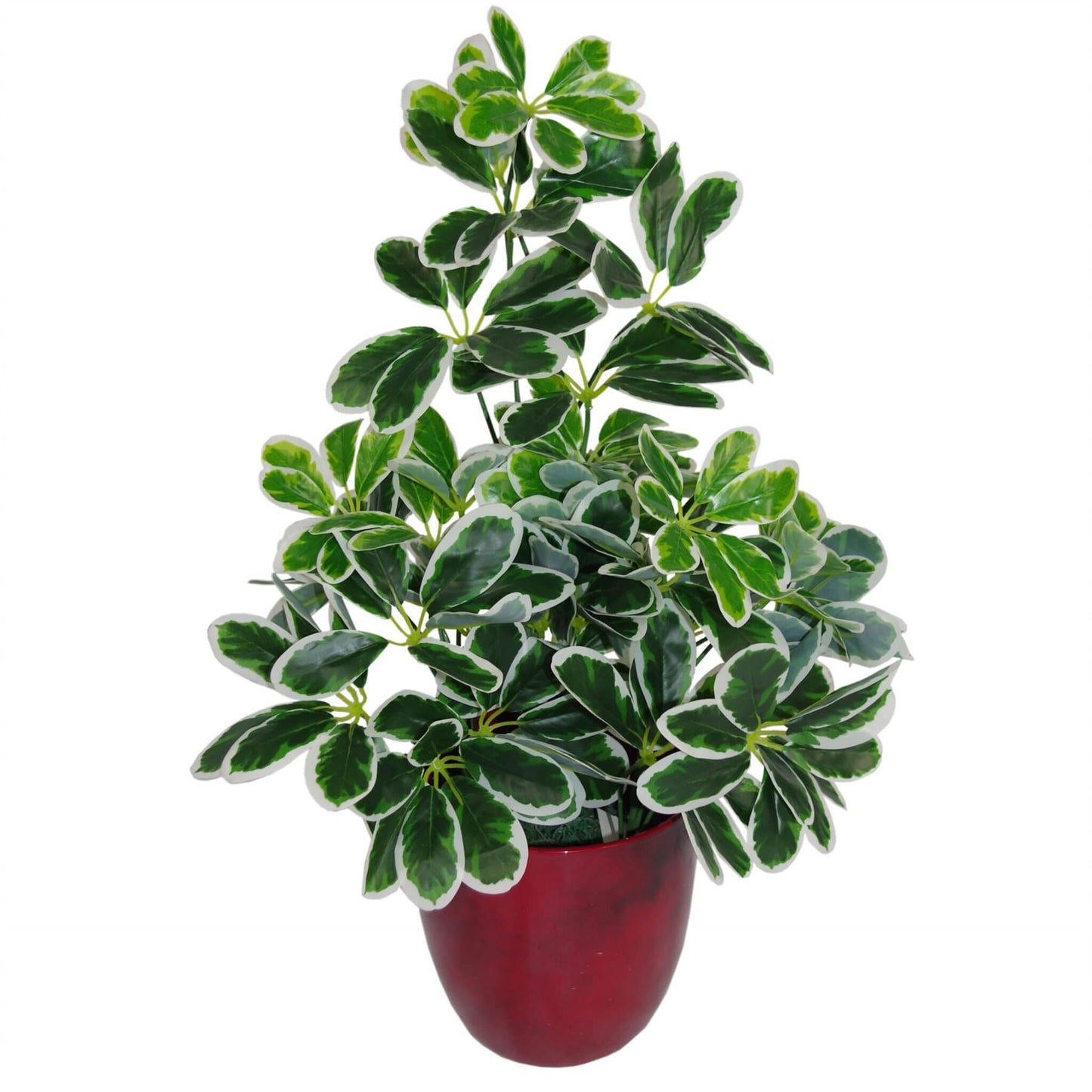 Vibrant 55cm Artificial Schefflera Arboricola – No Maintenance, Lush Décor! - plants - express.com
