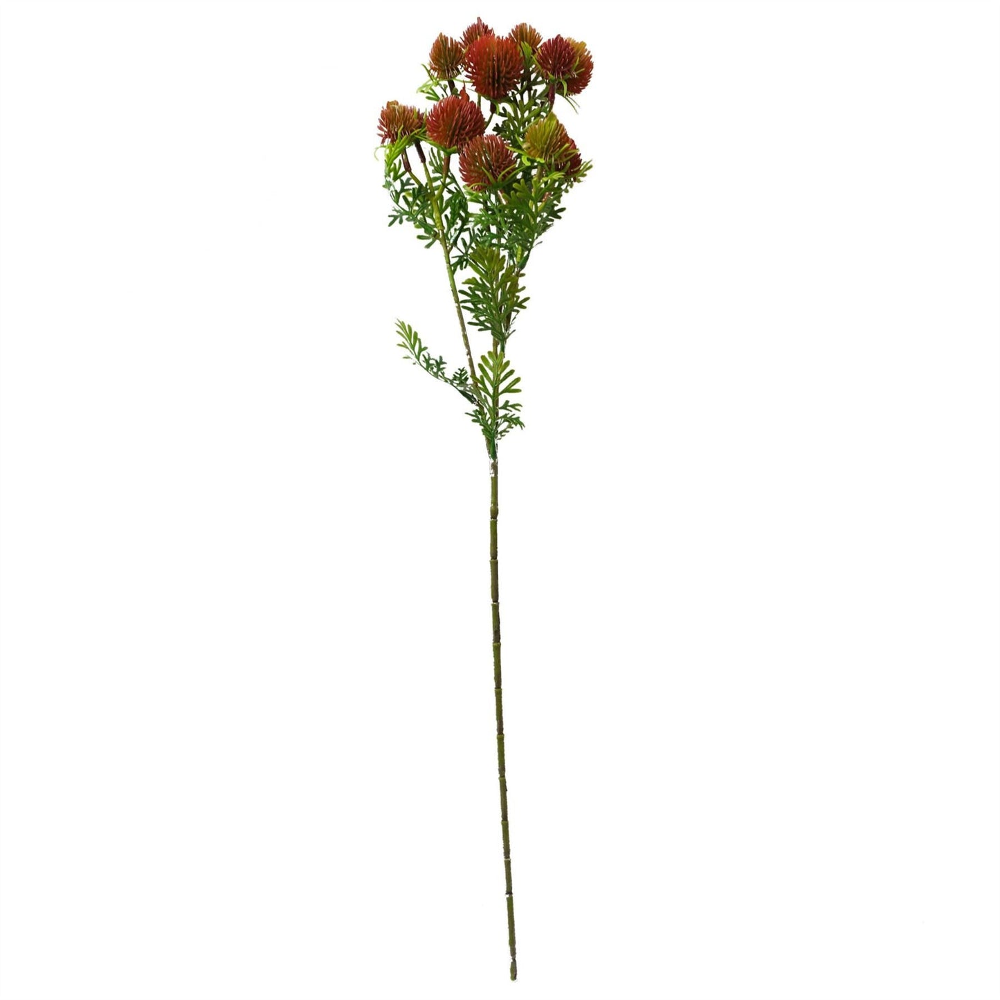 Vibrant 55cm Red Craspedia Stem - Realistic Artificial Floral Accent - plants - express.com