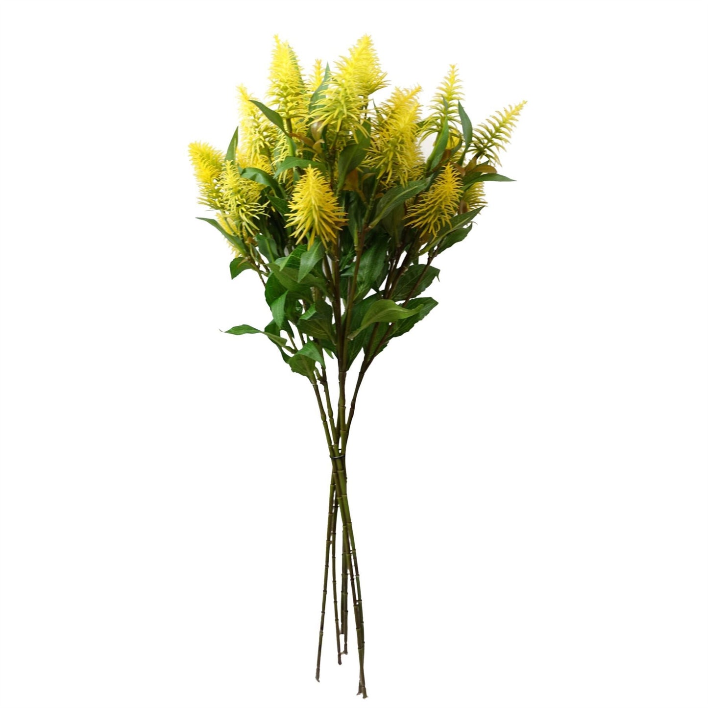 Vibrant 6 - Pack of 55cm Yellow Callistemon Bottle Brush Stems for Floral Designs - plants - express.com