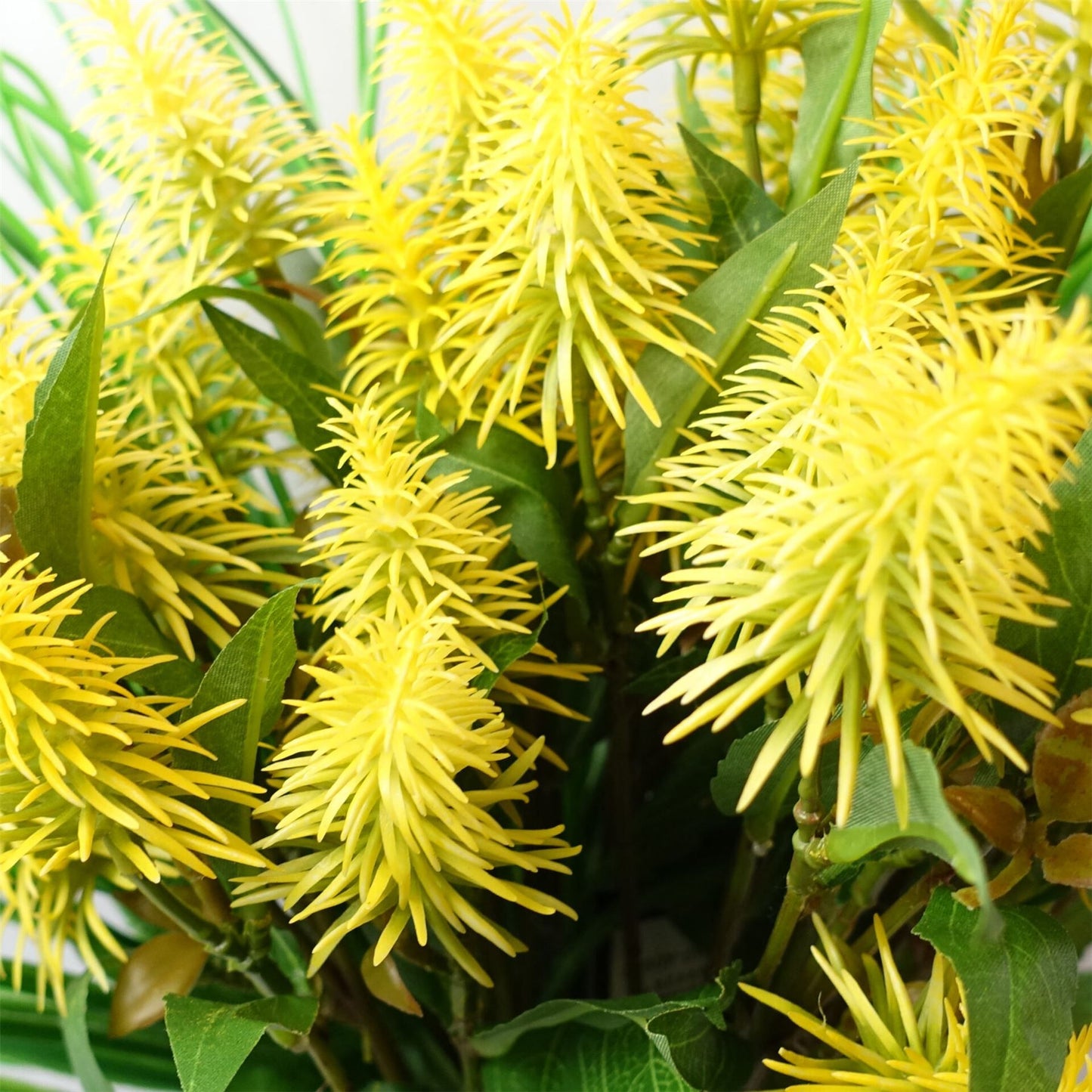 Vibrant 6 - Pack of 55cm Yellow Callistemon Bottle Brush Stems for Floral Designs - plants - express.com