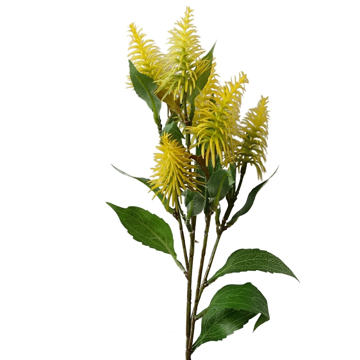 Vibrant 6 - Pack of 55cm Yellow Callistemon Bottle Brush Stems for Floral Designs - plants - express.com