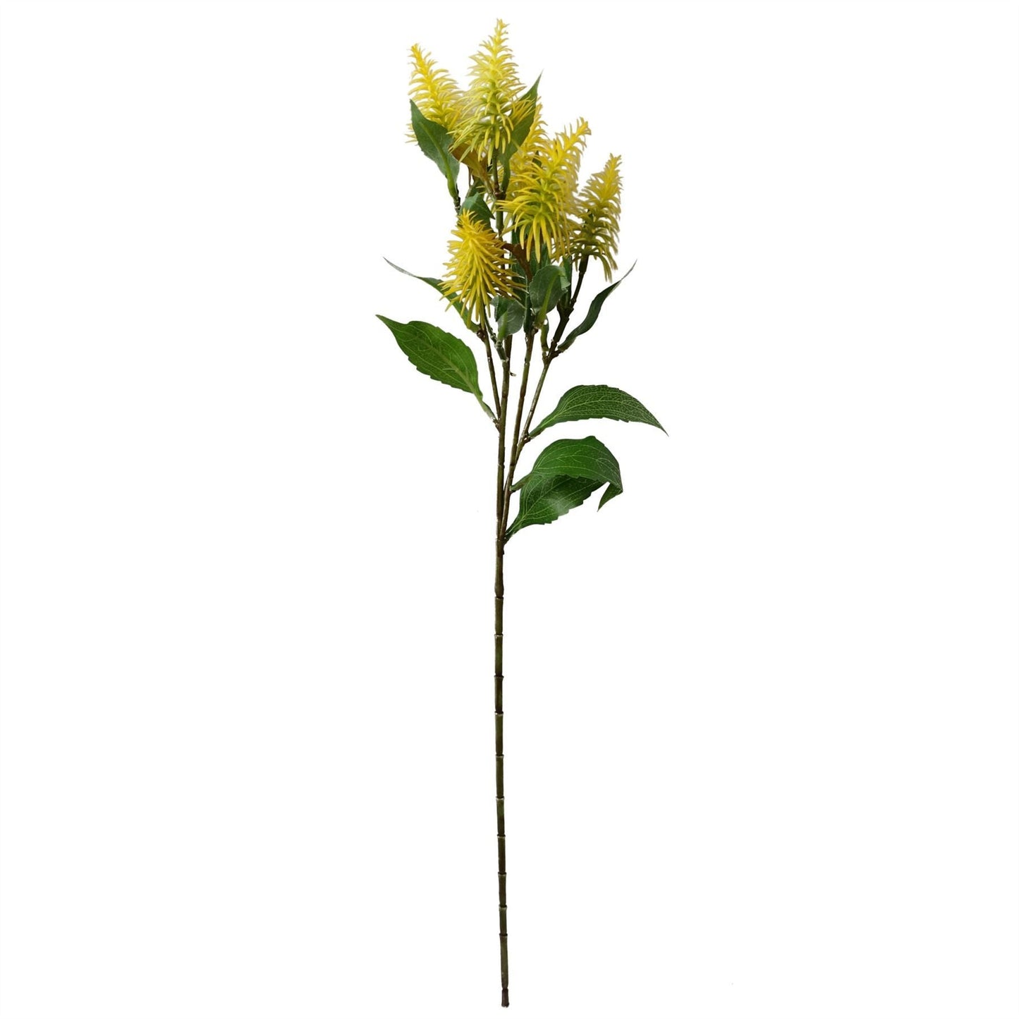 Vibrant 6 - Pack of 55cm Yellow Callistemon Bottle Brush Stems for Floral Designs - plants - express.com