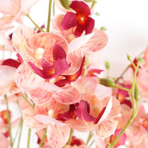 Vibrant 6 - Pack of 80cm Pink Mini Orchid Stems for Stunning Arrangements - plants - express.com
