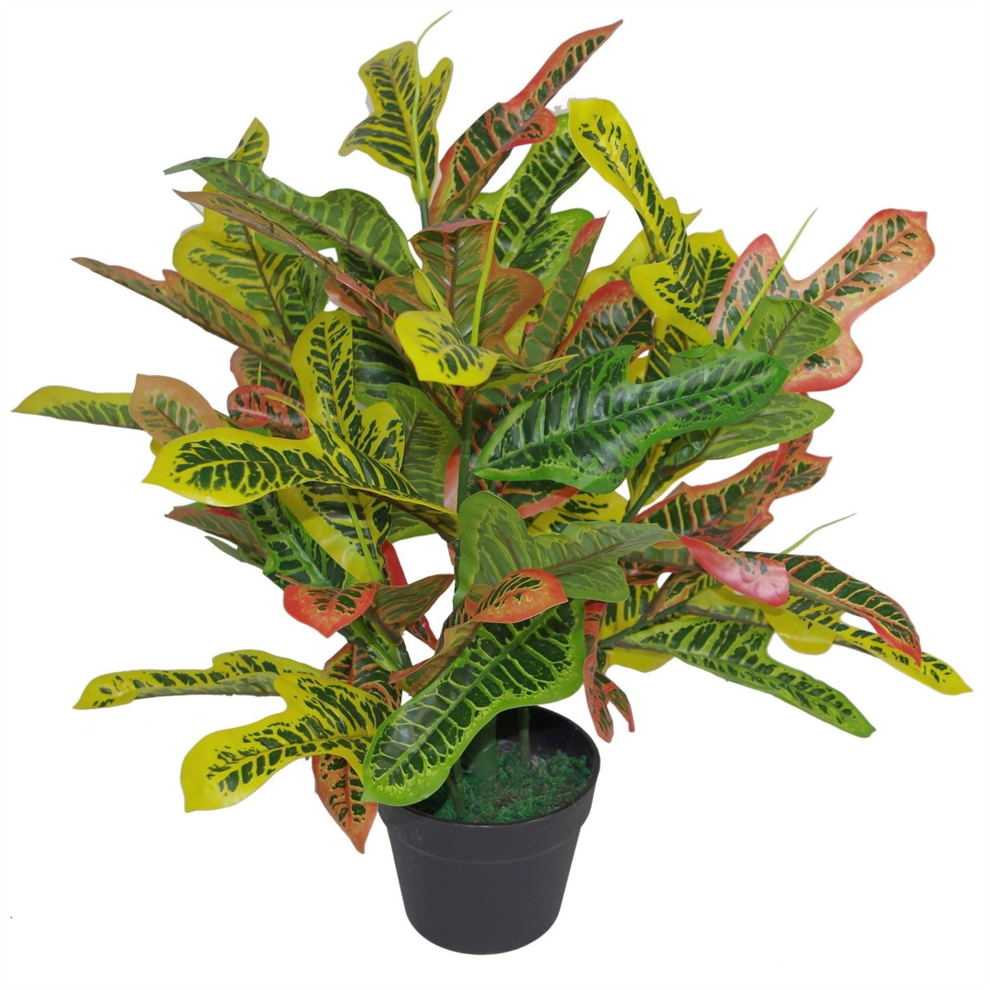 Vibrant 65cm Artificial Codiaeum Croton – Lifelike Tropical Décor Plant - plants - express.com