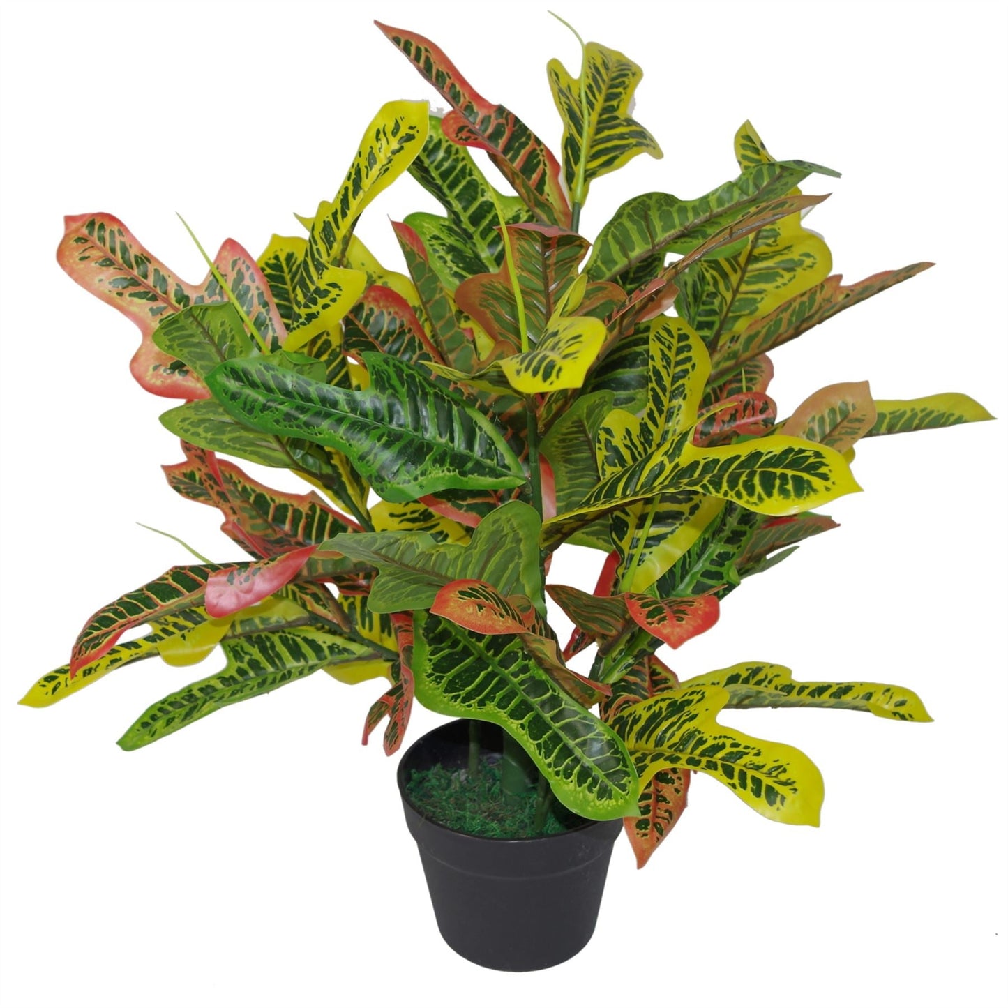 Vibrant 65cm Artificial Codiaeum Croton – Lifelike Tropical Décor Plant - plants - express.com