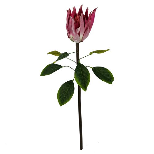 Vibrant 65cm Pink Protea Sugarbush Stem - Realistic Silk Flower Décor - plants - express.com